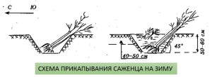 Натисніть для збільшення