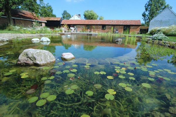 водойма декоративний фото